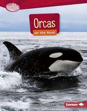 Orcas on the Hunt