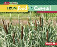 From Seed to Cattail from Seed to Cattail