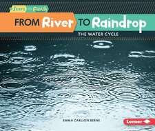 From River to Raindrop