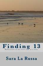 Finding 13