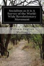 Socialism as It Is a Survey of the World-Wide Revolutionary Movement