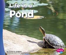 Life in a Pond