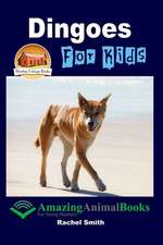 Dingoes for Kids