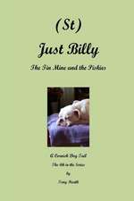 (St) Just Billy - The Tin Mine and the Piskies