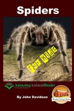 Spiders - For Kids - Amazing Animal Books for Young Readers