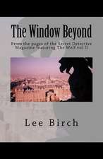 The Window Beyond