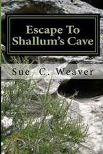 Escape to Shallum's Cave