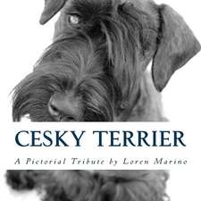 Cesky Terrier