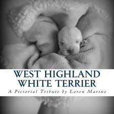 West Highland White Terrier