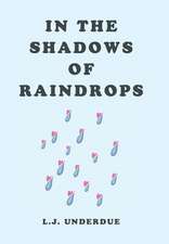 In the Shadows of Raindrops