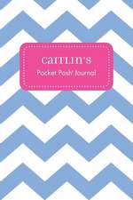 Caitlin's Pocket Posh Journal, Chevron