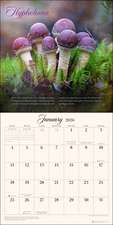 The Miraculous Mushroom 2026 Wall Calendar: With Fabulous Fungi Facts