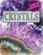 Spilsbury, R: Earth Rocks: Crystals