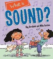 Barnham, K: Discovering Science: What is Sound?