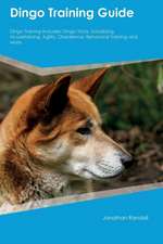 Dingo Training Guide Dingo Training Includes