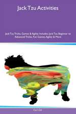 Jack Tzu Activities Jack Tzu Tricks, Games & Agility Includes