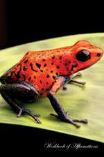 Red Poison Dart Frog Workbook of Affirmations Red Poison Dart Frog Workbook of Affirmations