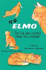 ELMO The Cat who doesn't know he's orange!