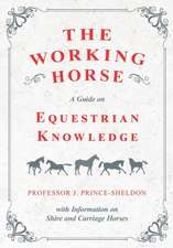 The Working Horse - A Guide on Equestrian Knowledge with Information on Shire and Carriage Horses