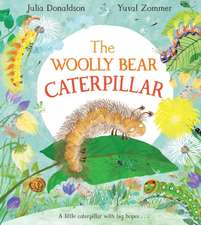 The Woolly Bear Caterpillar