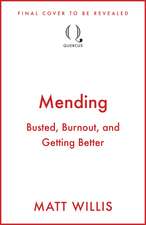 Mending: Busted, Burnout and Getting Better