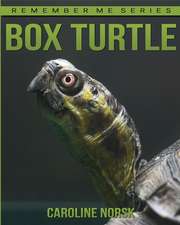 Box Turtles