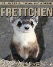 Frettchen