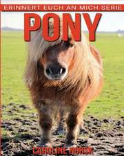 Pony