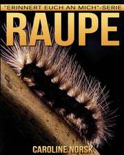 Raupe