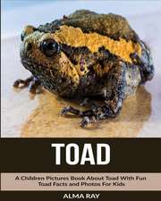 Toad