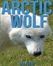 Arctic Wolf