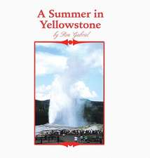 A Summer in Yellowstone