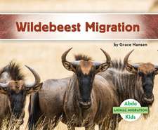 WILDEBEEST MIGRATION