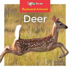 Deer