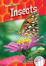 INSECTS