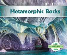 METAMORPHIC ROCKS