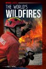 World's Wildfires