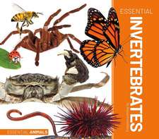 ESSENTIAL INVERTEBRATES