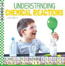 Understanding Chemical Reactions