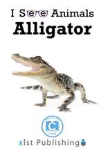 Alligator
