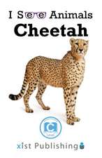 Cheetah