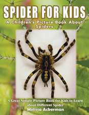 Spiders for Kids