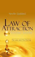 Law of Attraction Success Stories