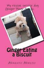 Ginger Eating a Biscuit