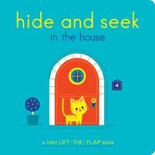 Hide and Seek in the House: A First Lift-The-Flap Book