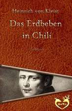 Das Erdbeben in Chili - Grossdruck