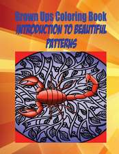 Grown Ups Coloring Book Introduction to Beautiful Patterns