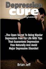 Depression Cure for Manic Depression