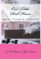 The Little Pink House