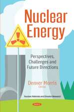 Nuclear Energy: Perspectives, Challenges & Future Directions